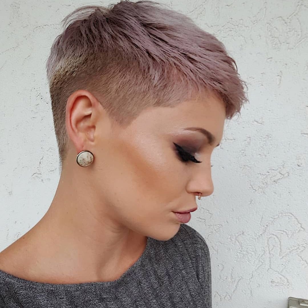 Пикси андеркат Боб