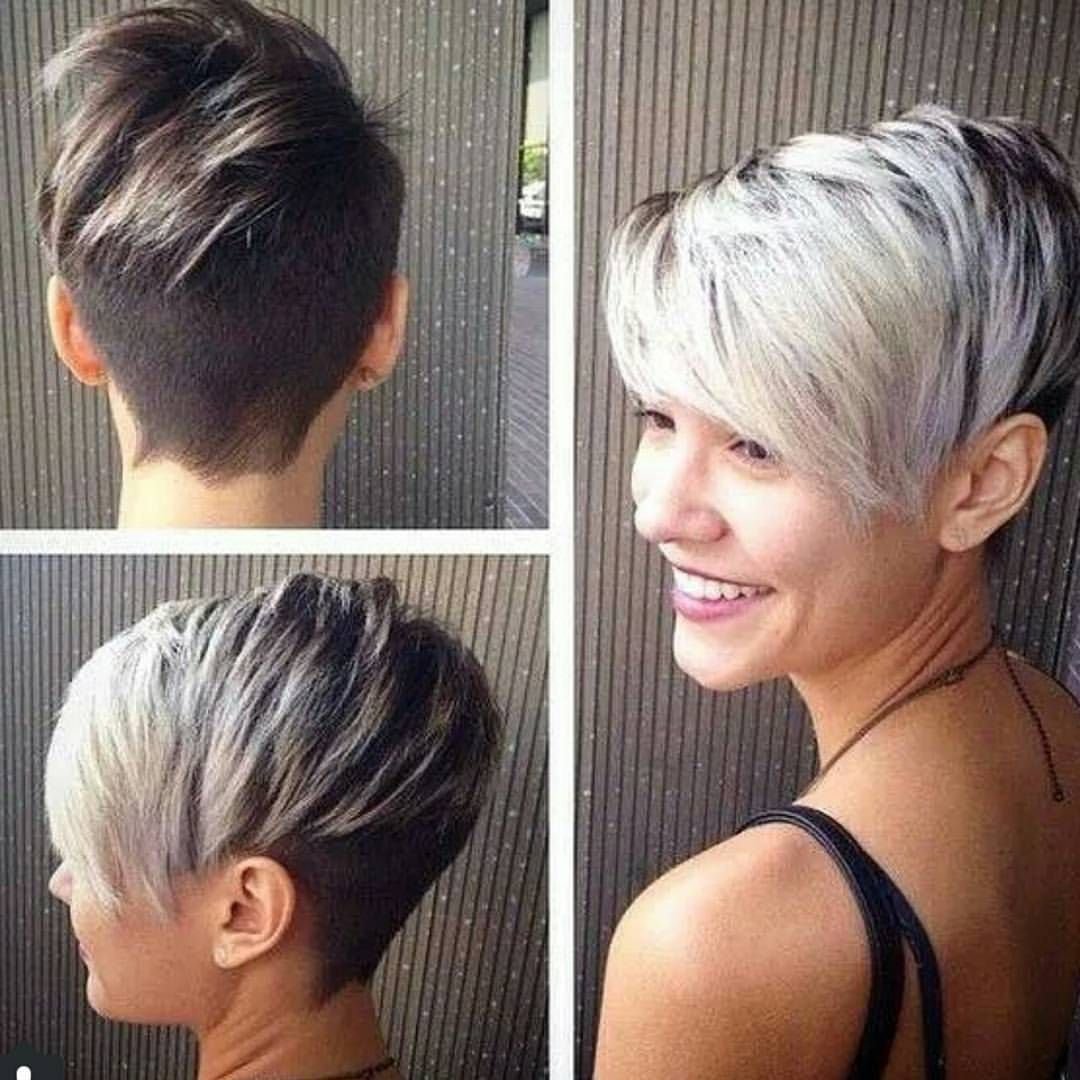 Стрижки Пикси, Гарсон, Пикси Боб