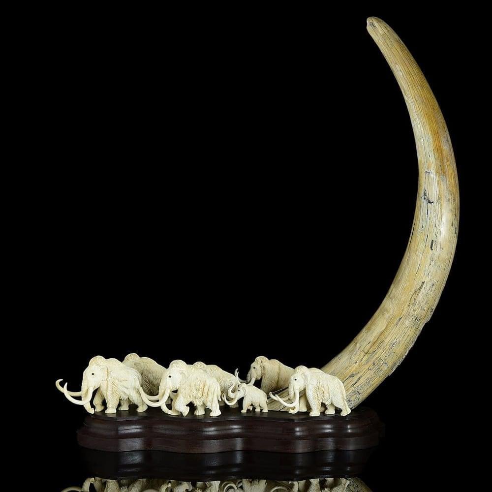 Кость мамонта бивень