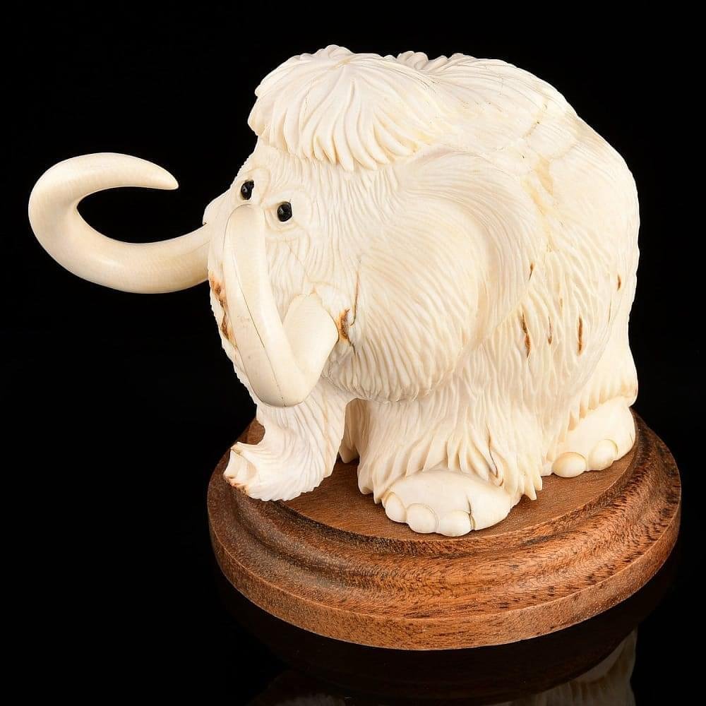 Четки из бивня мамонта черепа