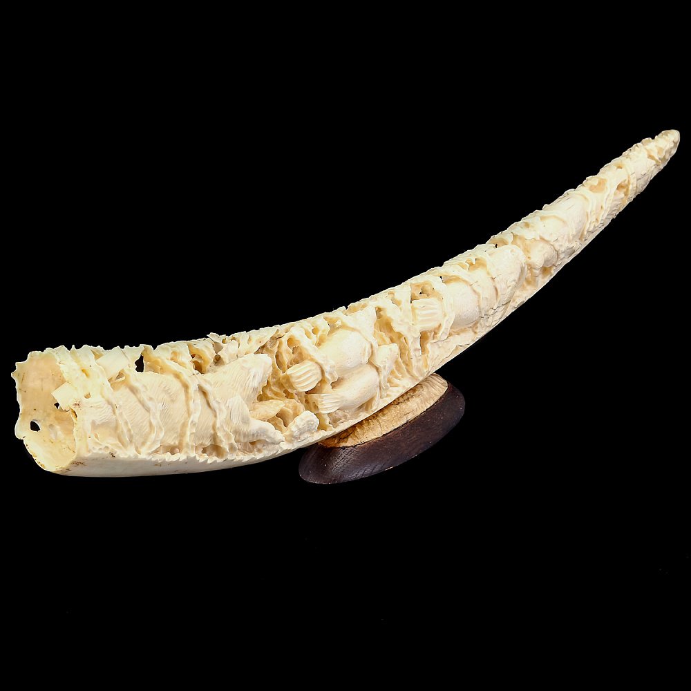 Подводная кость