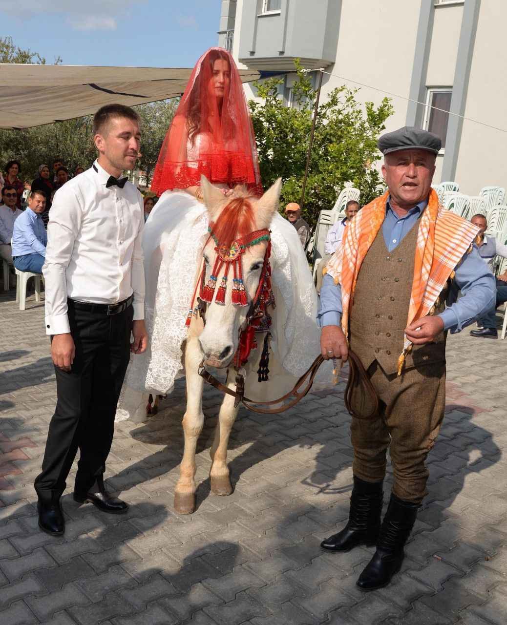 Иллирийцы албанцы