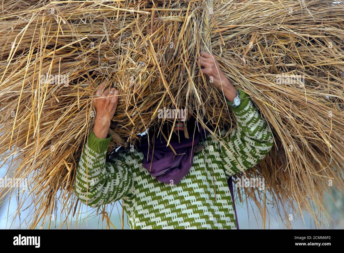 Солома на голове