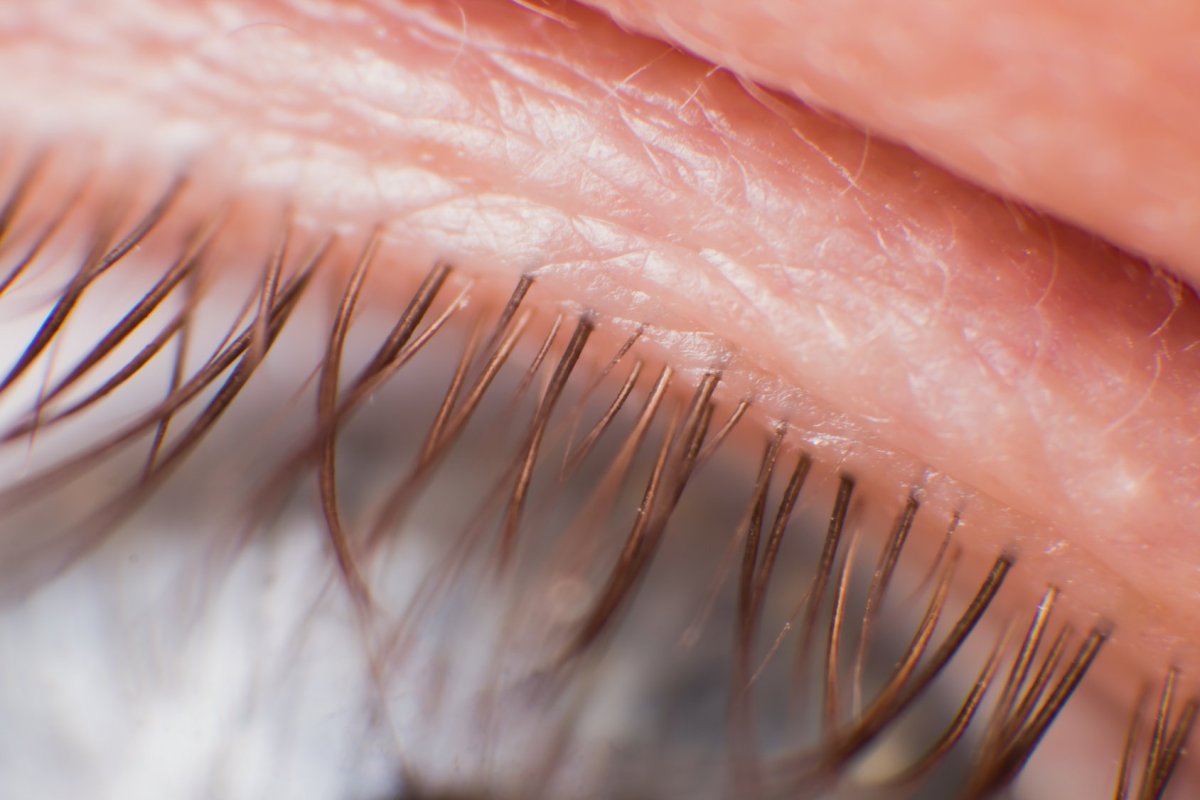 Эффект Кайли 2д изгиб с