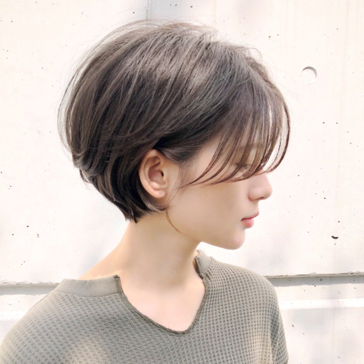 Томбой корейский Пикси Боб 2020