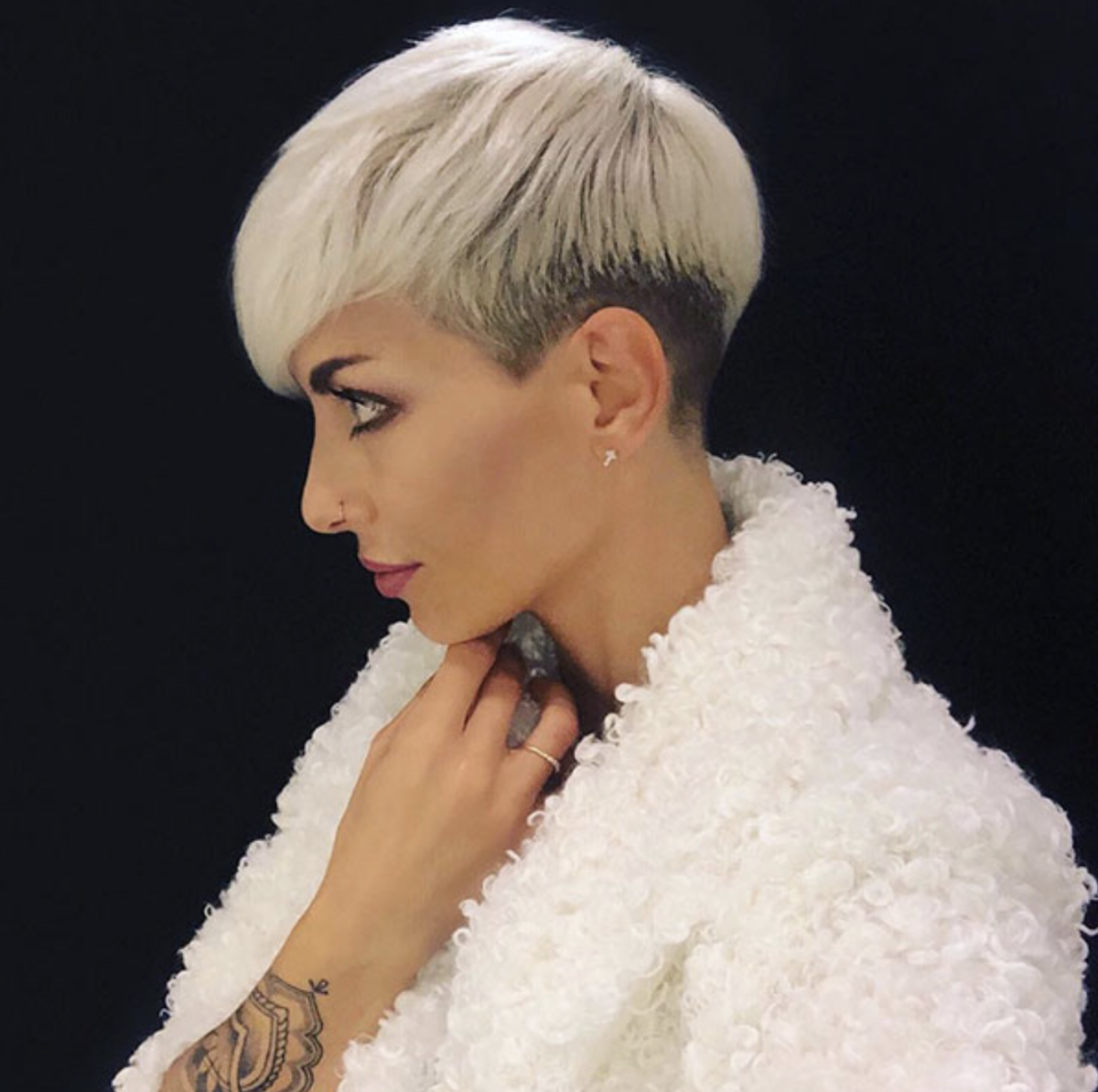 Пикси андеркат Боб