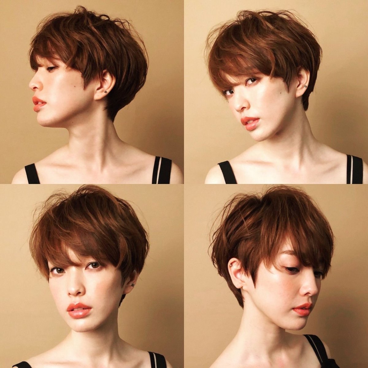 Pixie Bob стрижка Корея