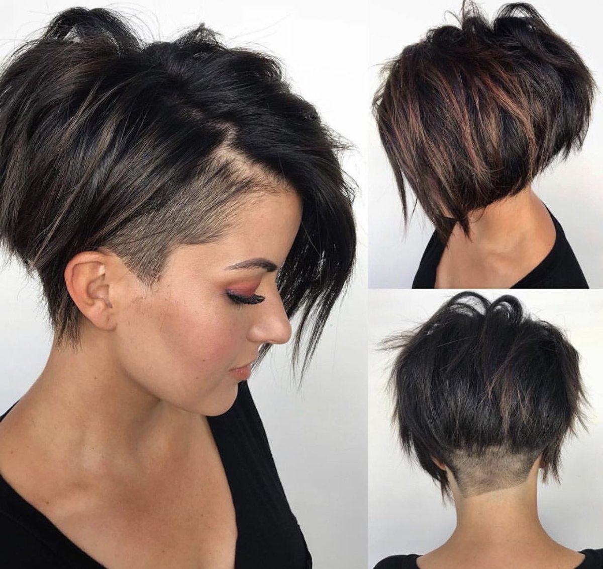 Пикси Боб с рваной челкой