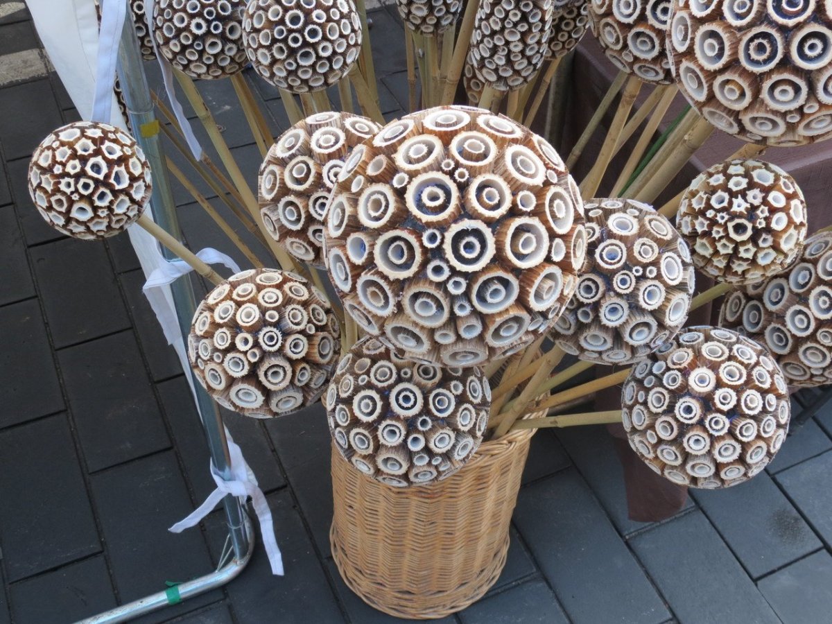 Декор из борщевика