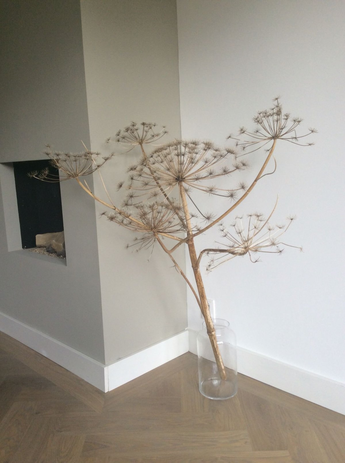 Цветы сухие лофт