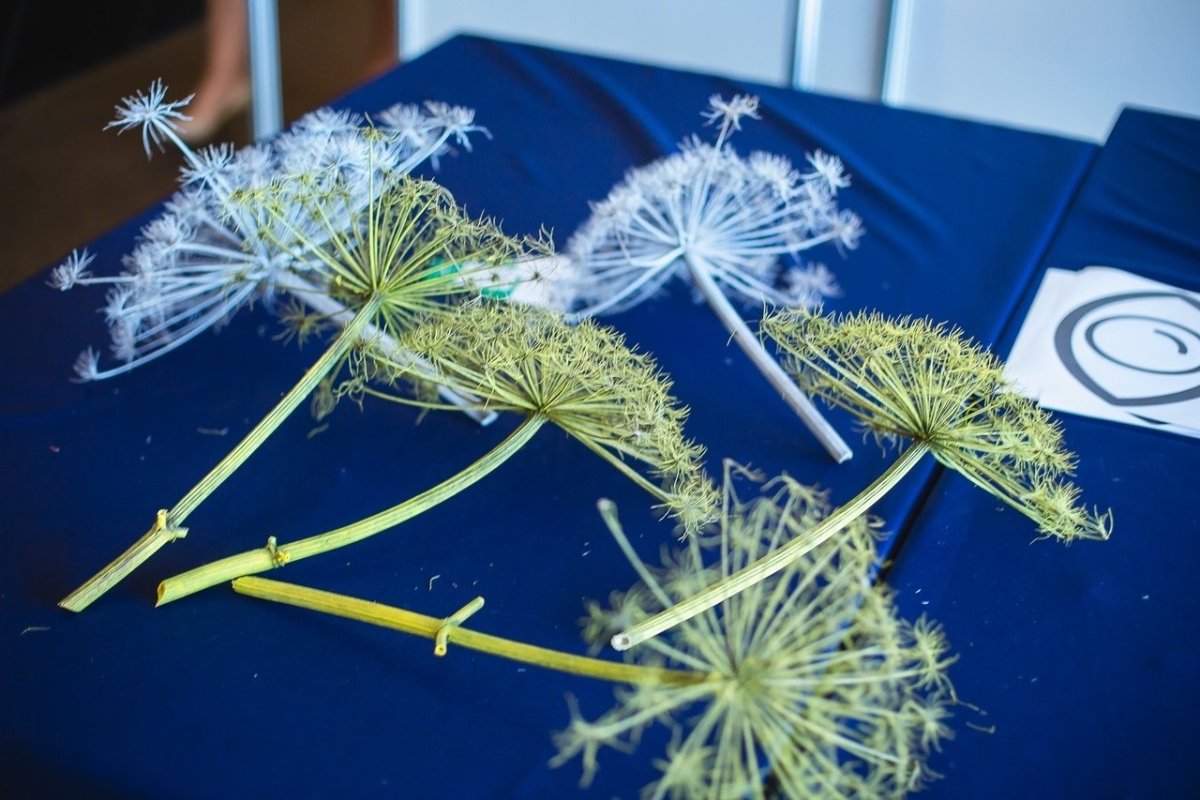 Декор "венок"