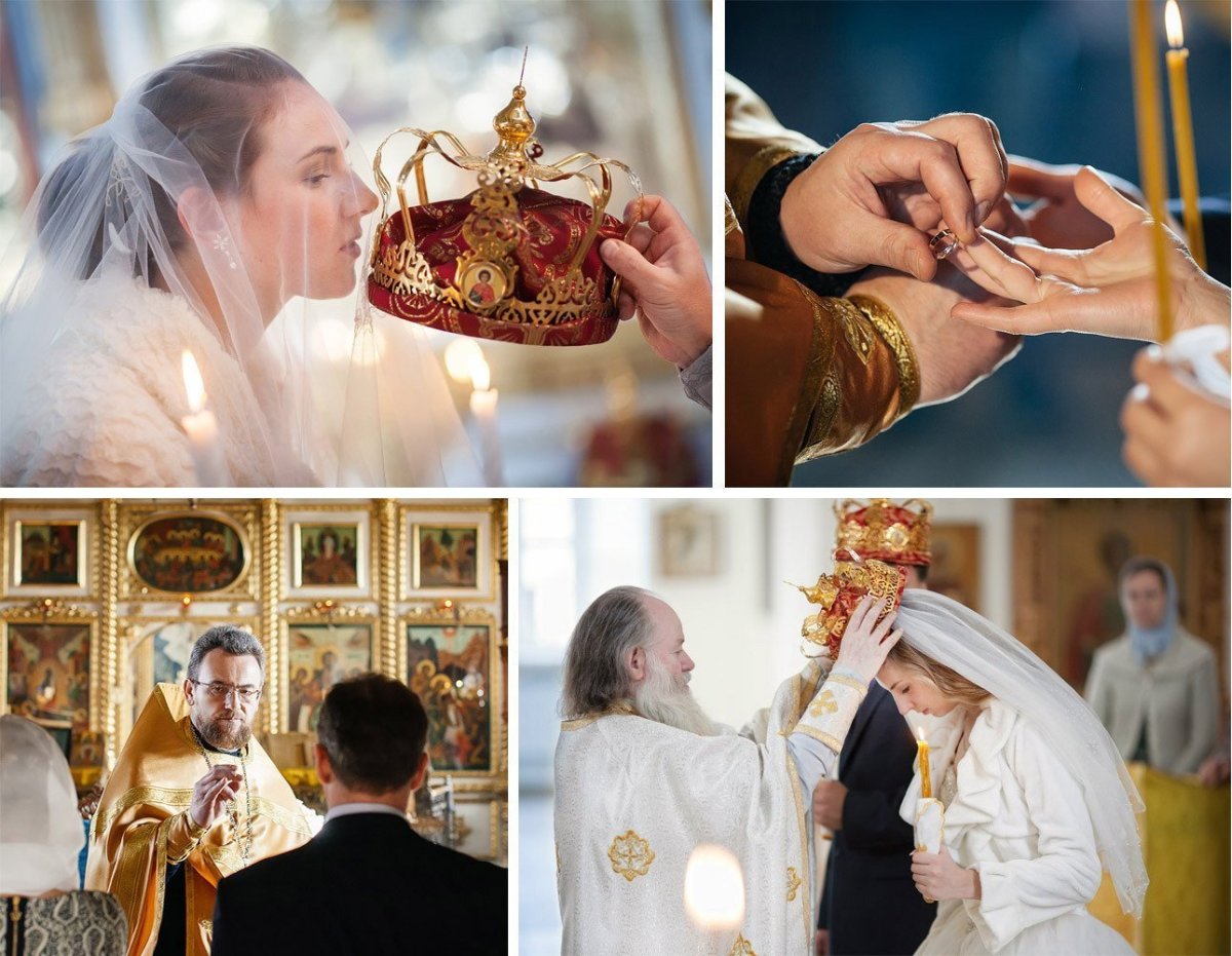 Красивые белые цветы