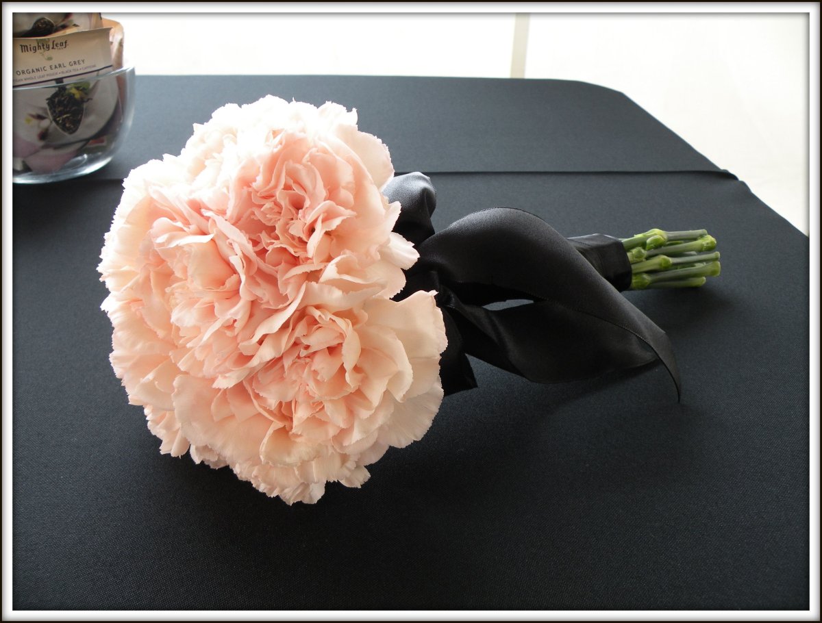 Гвоздика Пич новиа