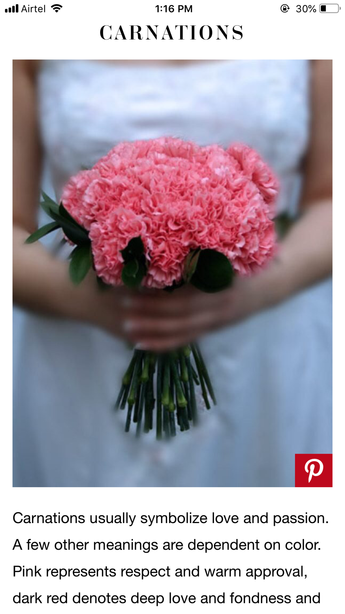 Букет невесты диантусы