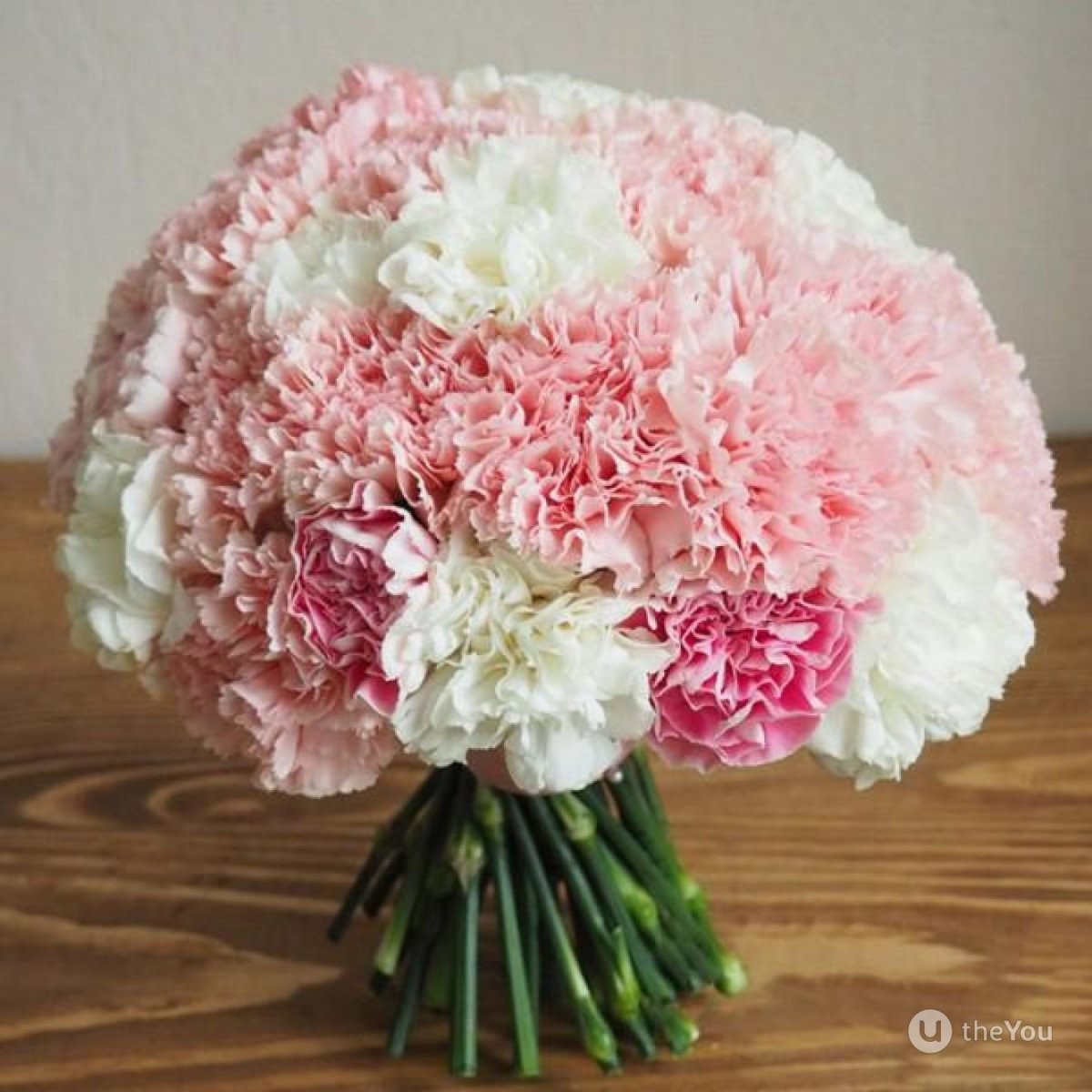 Гвоздика Диантус букет