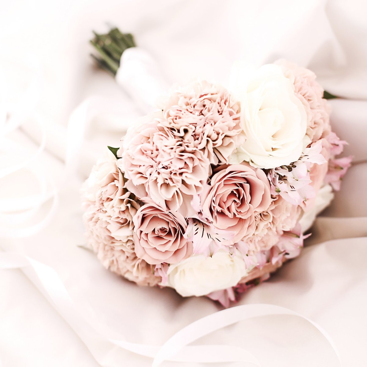 Диантус свадебный букет