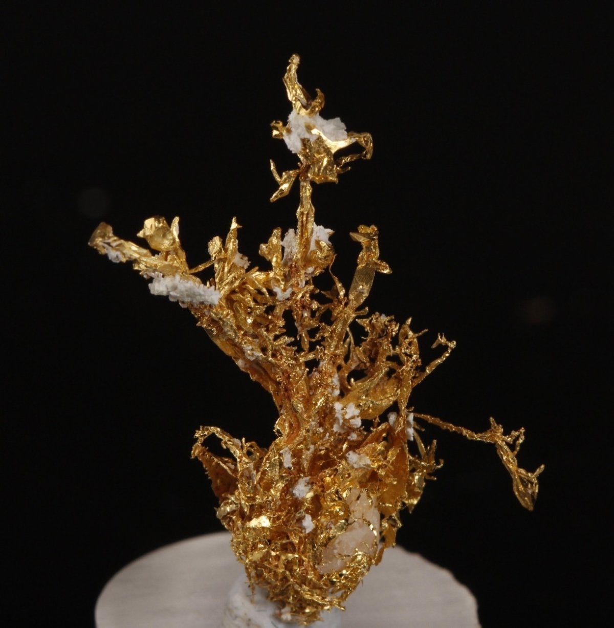 Украшения из арагонита