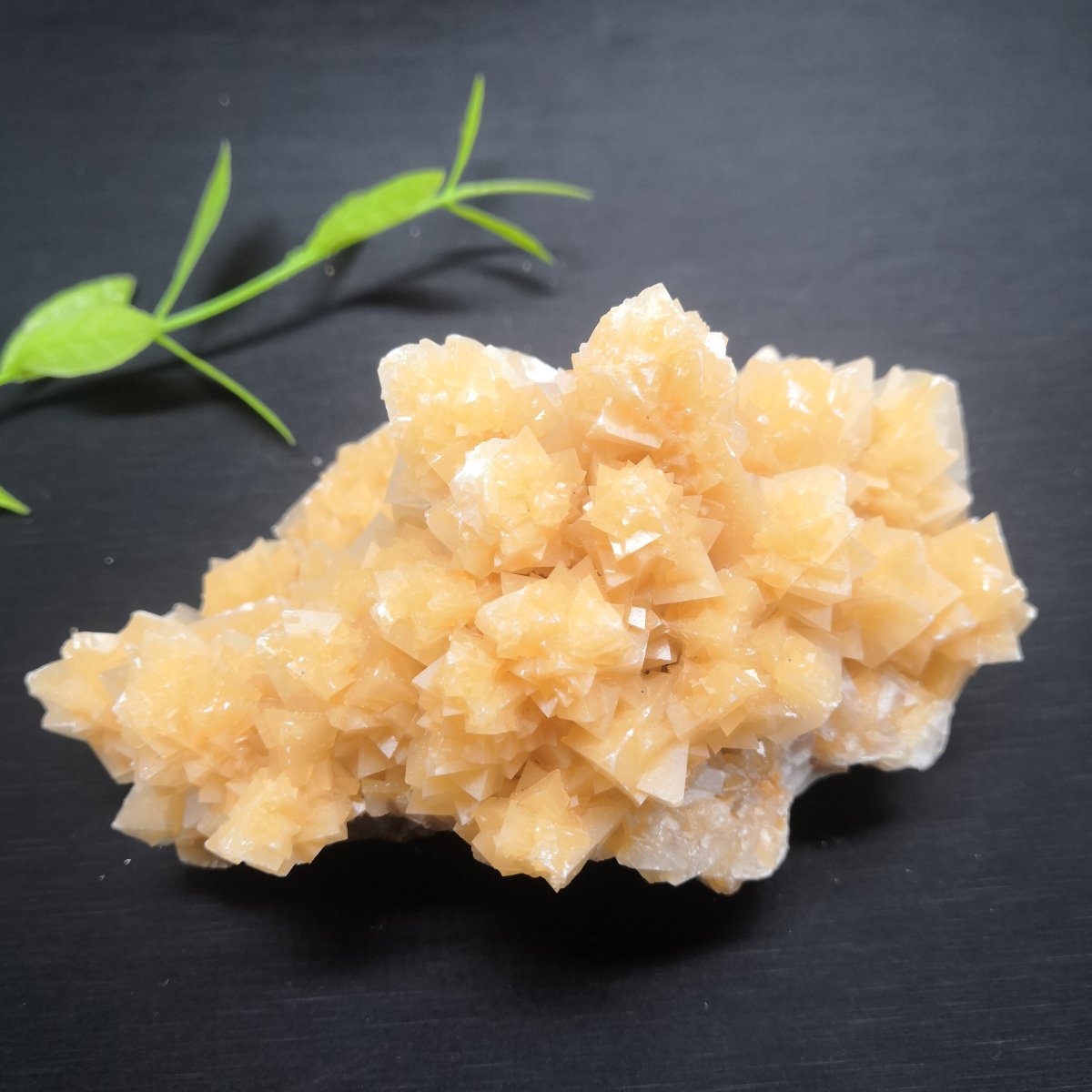 Сколецит жеода