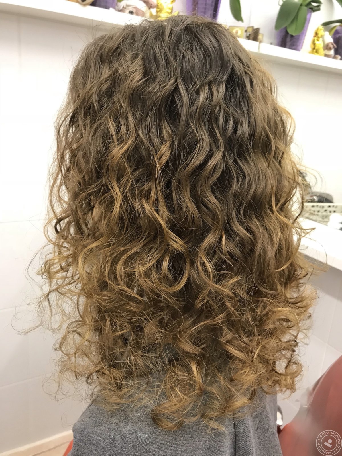 Биозавивка mossa