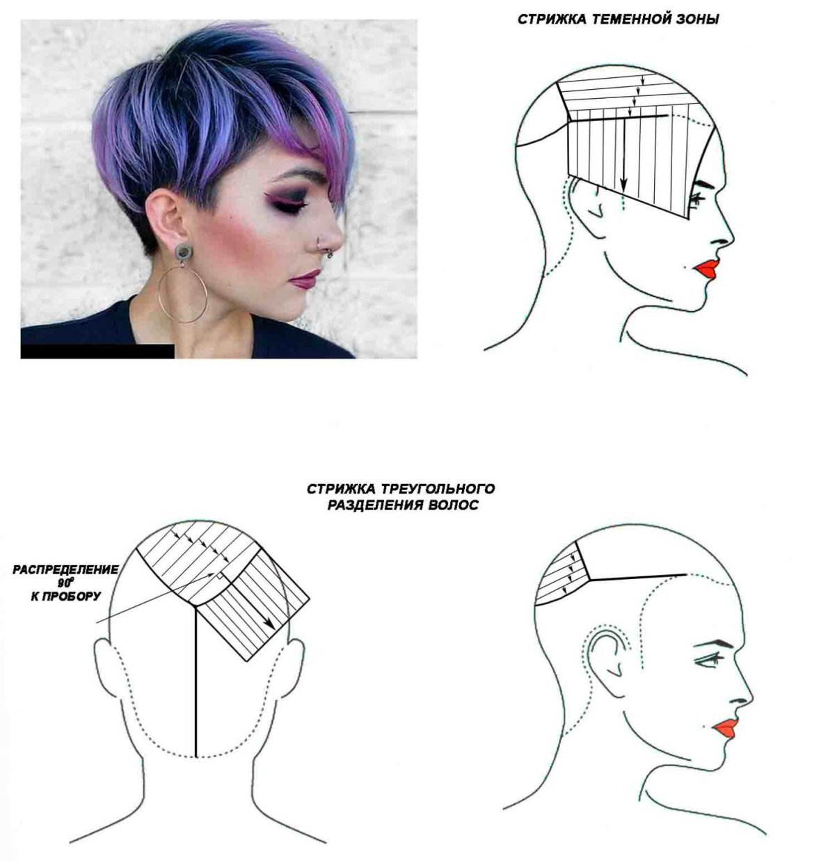 Схема стрижки Пикси на короткие волосы