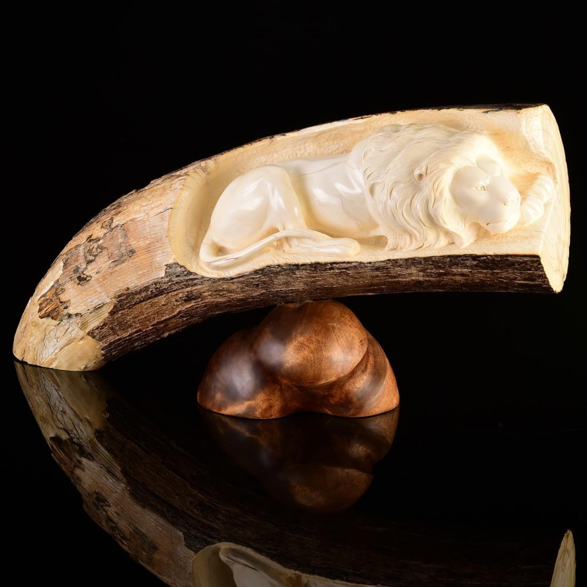 Бивень мамонта