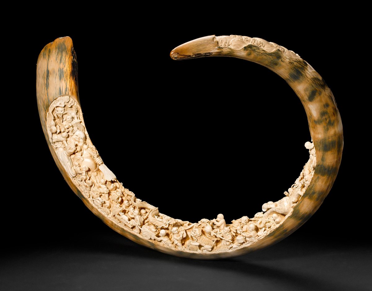 Кости Мамонтов бивни