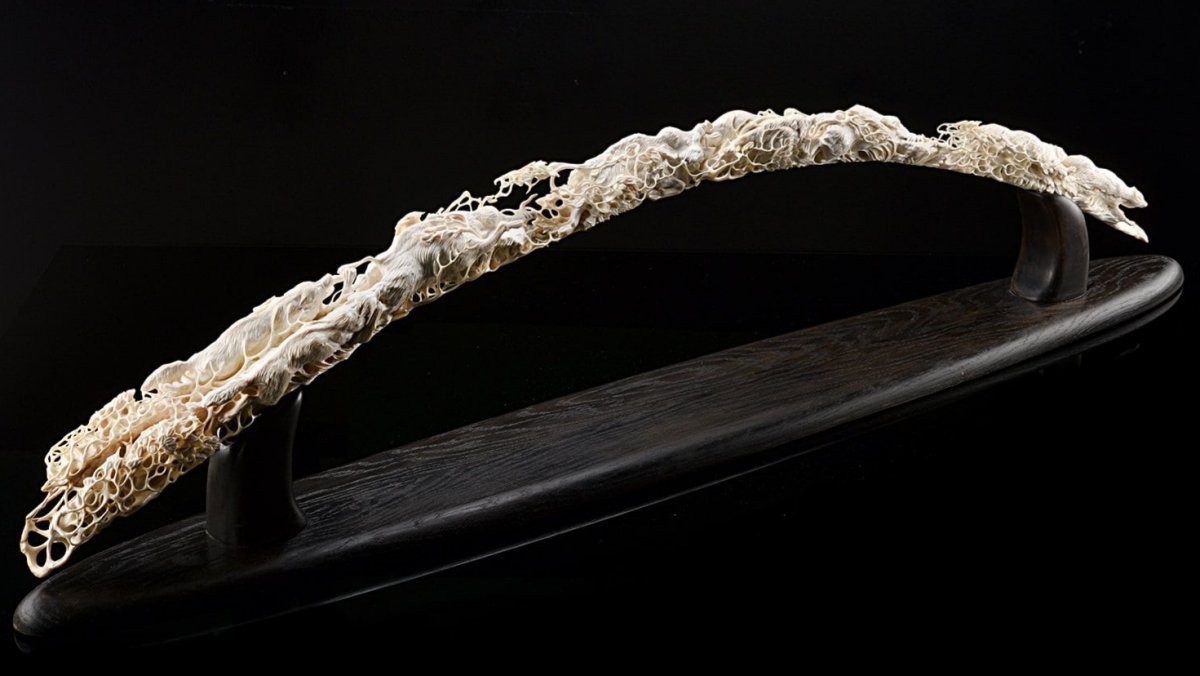 Срез бивня мамонта