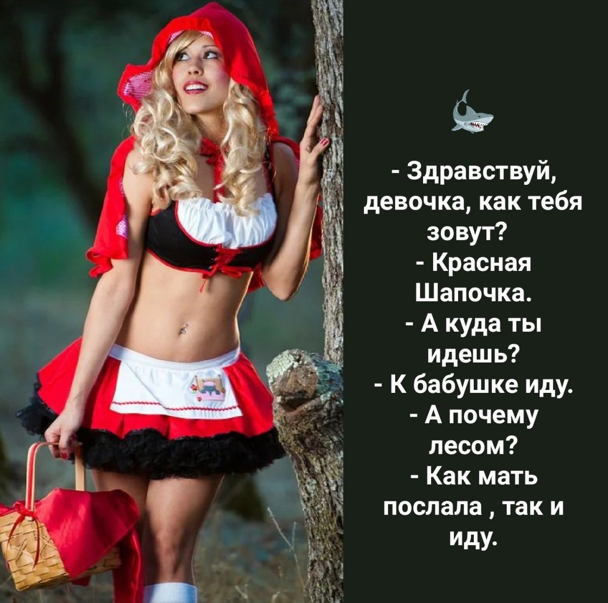 Чёчёлина красная шапочка