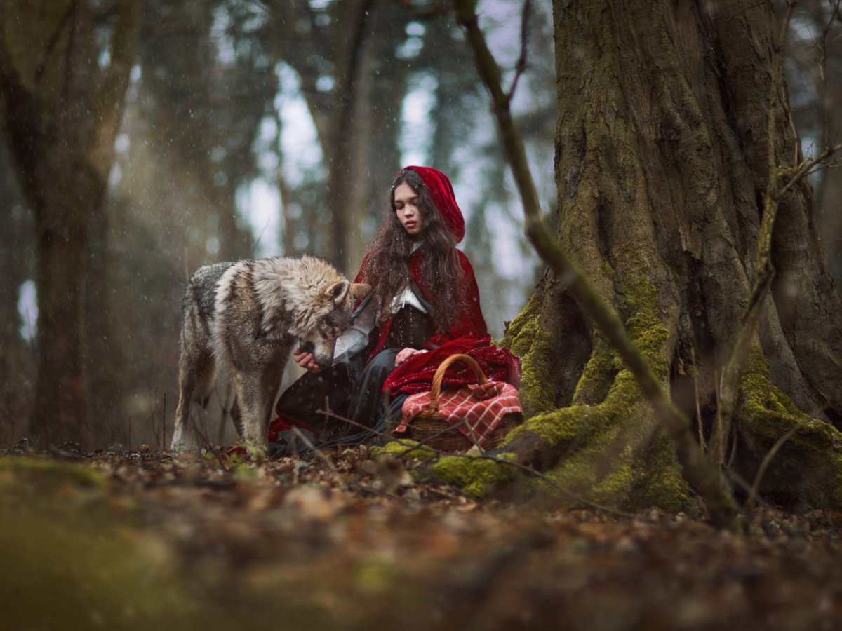 Платье в стиле красной шапочки