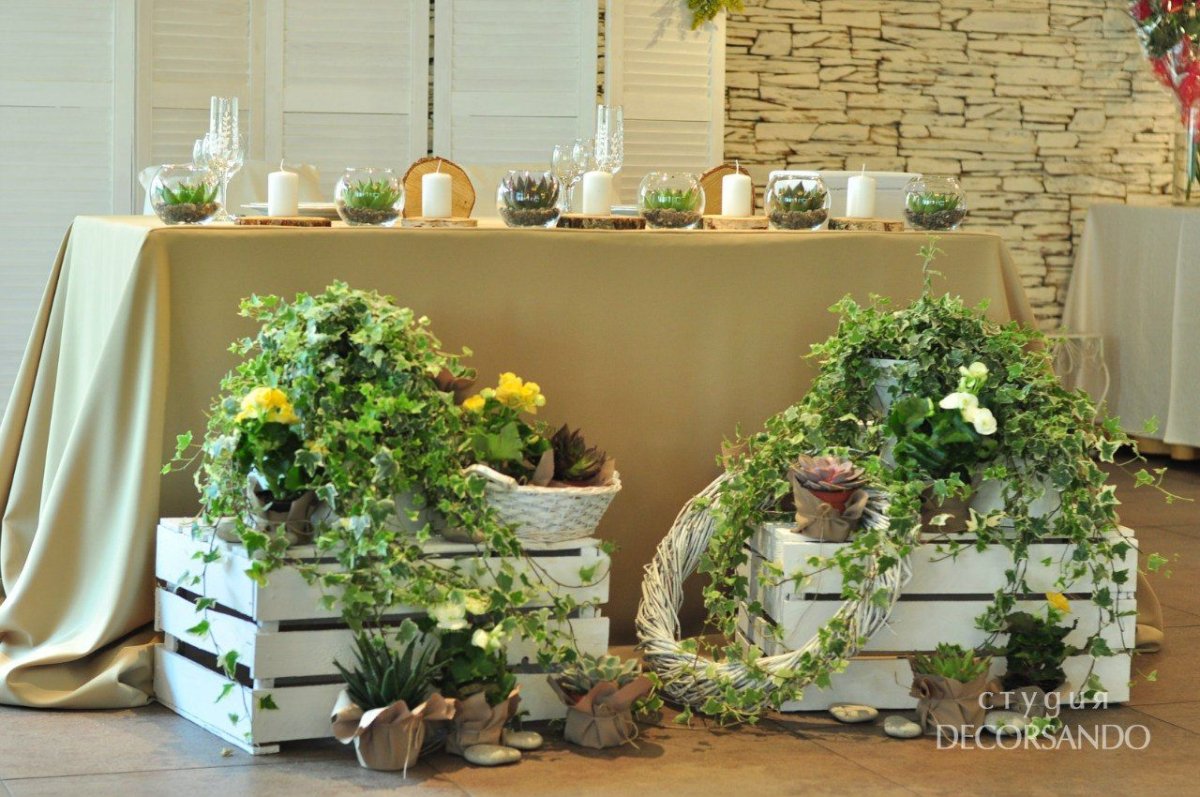 Горшечные растения на свадьбу