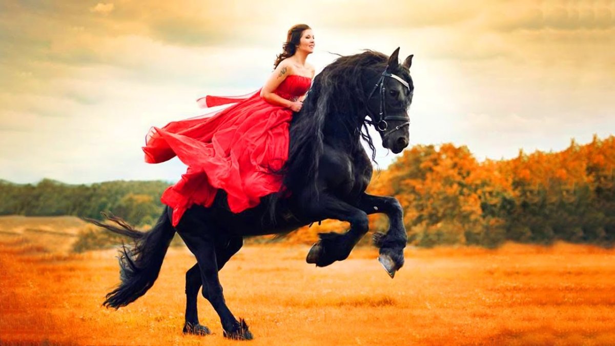 Шляпки женские для скачек