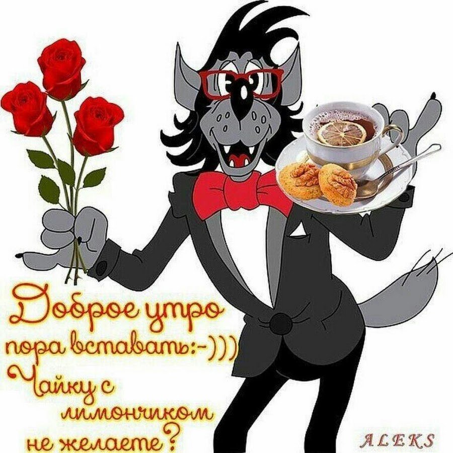 Смешная открытка с добрым утром женщине