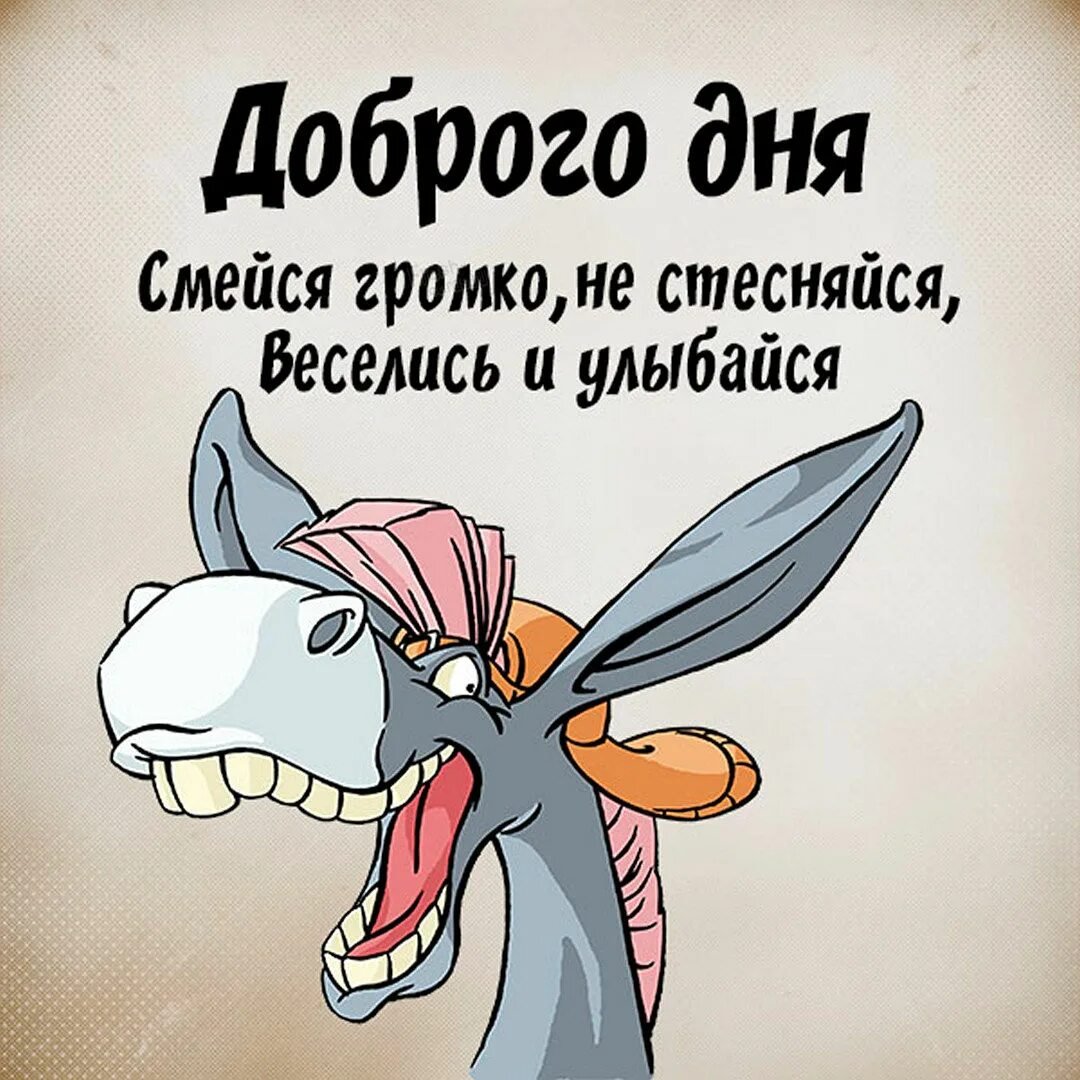 С добрым утром юмор