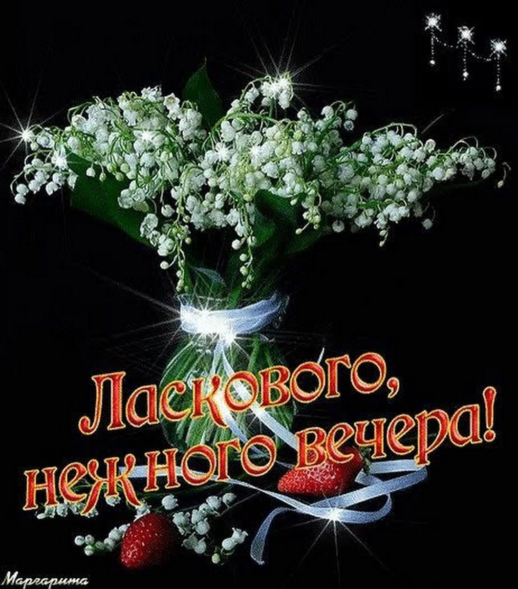 Доброго веченнего Вечерка