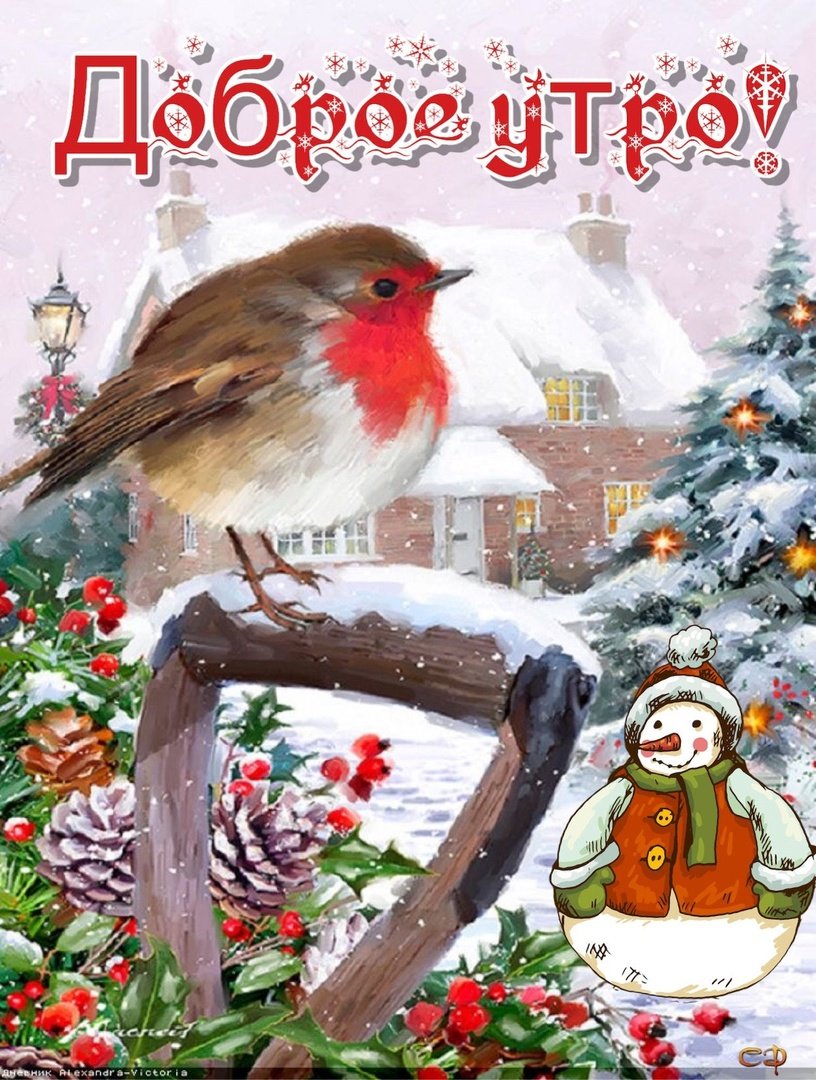 Доброе зимнее утро с птицами