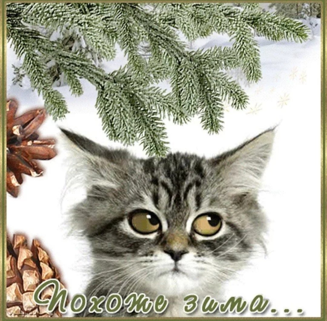 Открытки с наступлением зимы