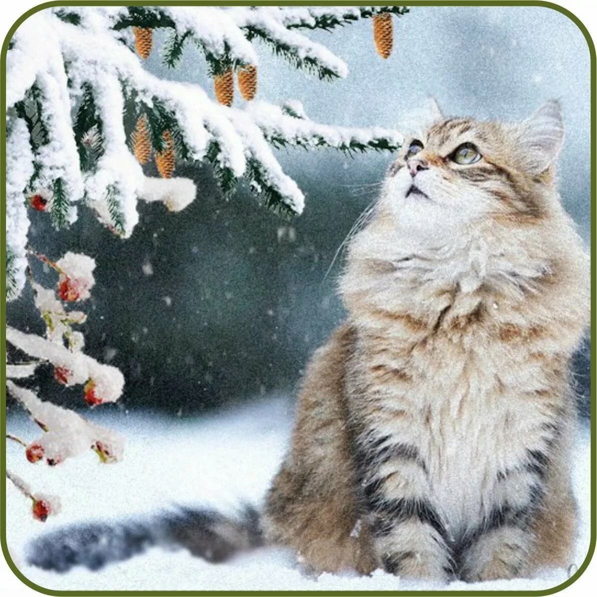 Пушистый снег