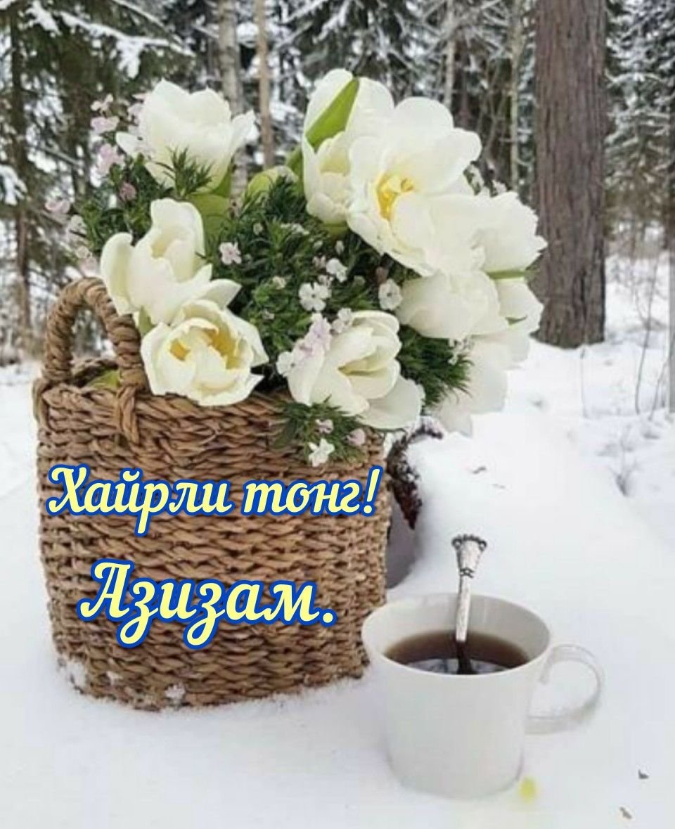 Доброе зимнее субботнее утро