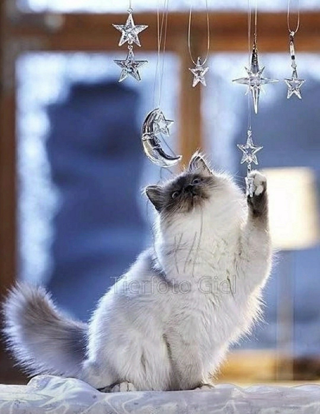 Настроение зима