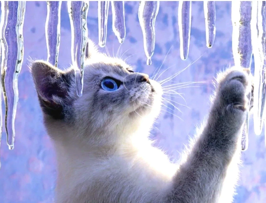 Зимние поздравления с добрым утром