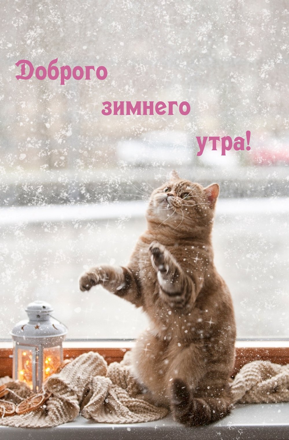 Снежное утро