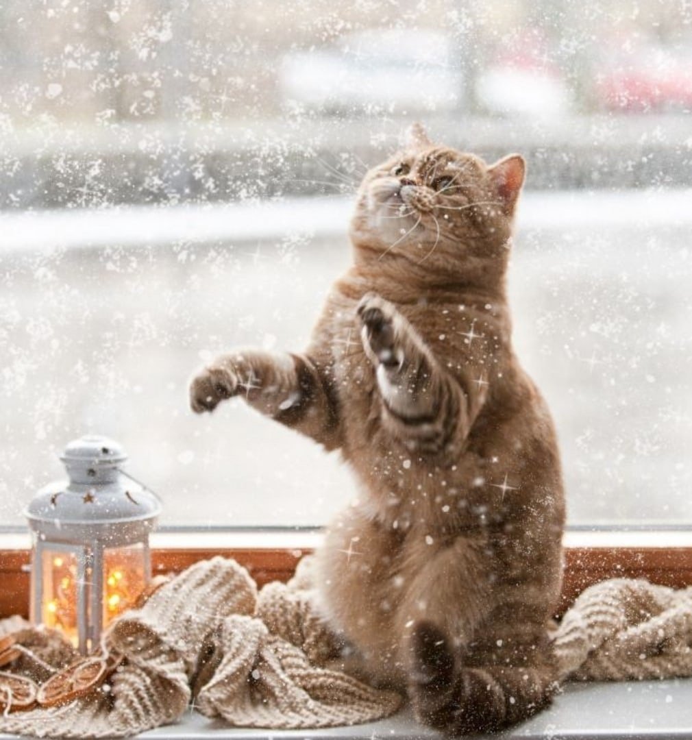 Зимнее настроение