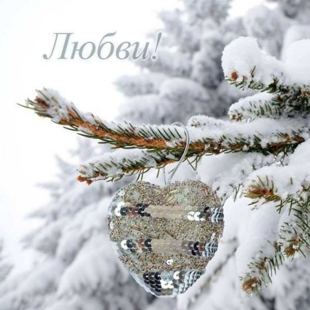 Зимнее счастье