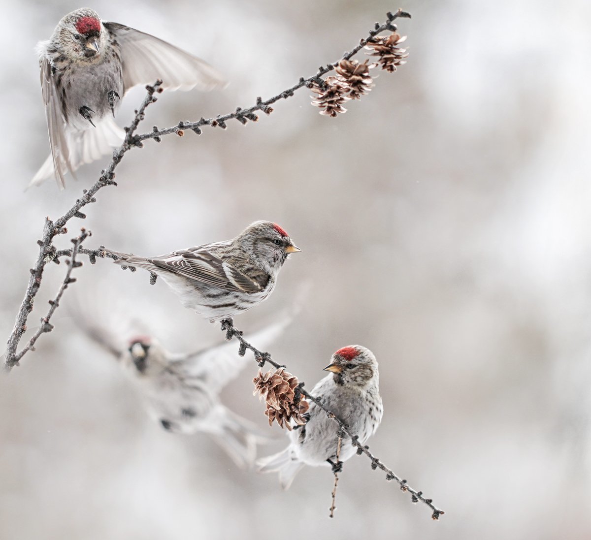 Православные поздравления с добрым утром зимние