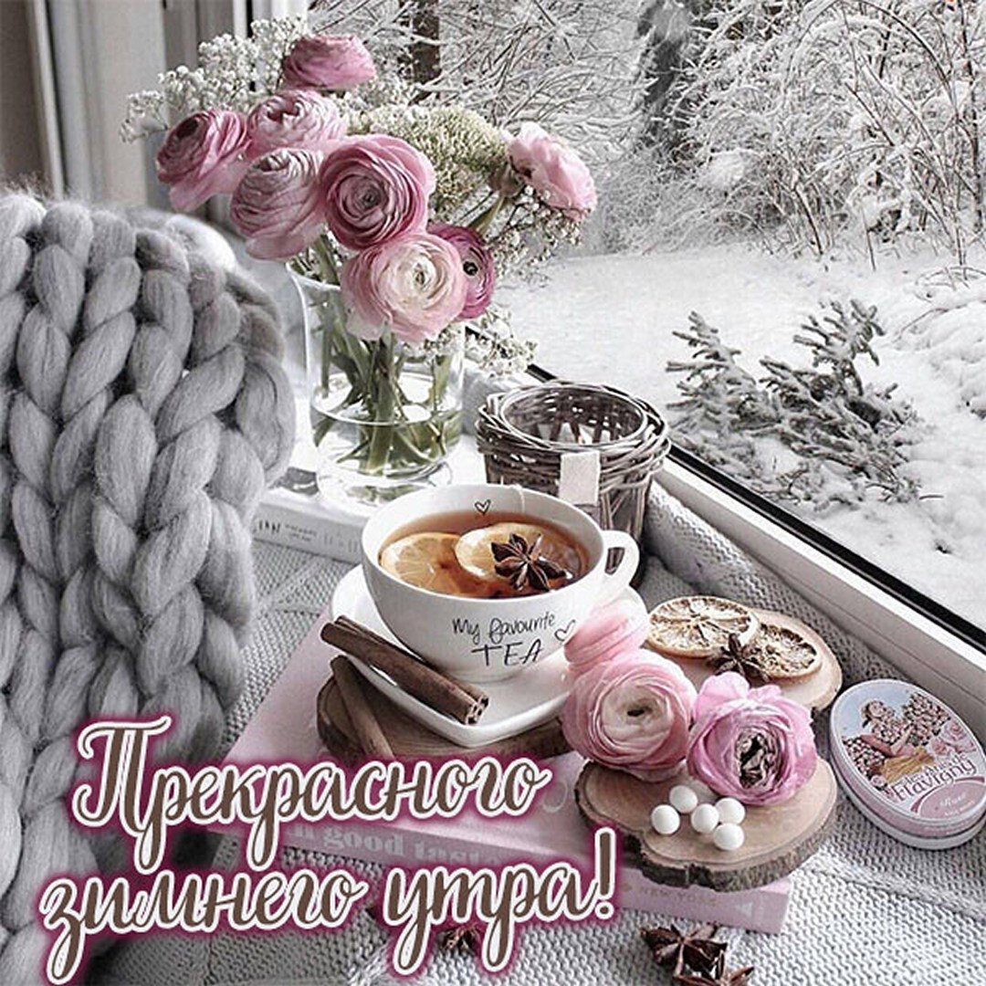 Синие коты Ирины Зенюк доброе утро