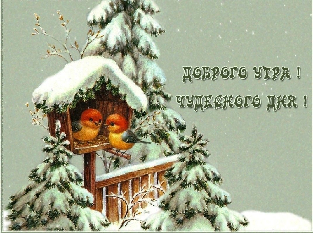 Хорошего зимнего дня