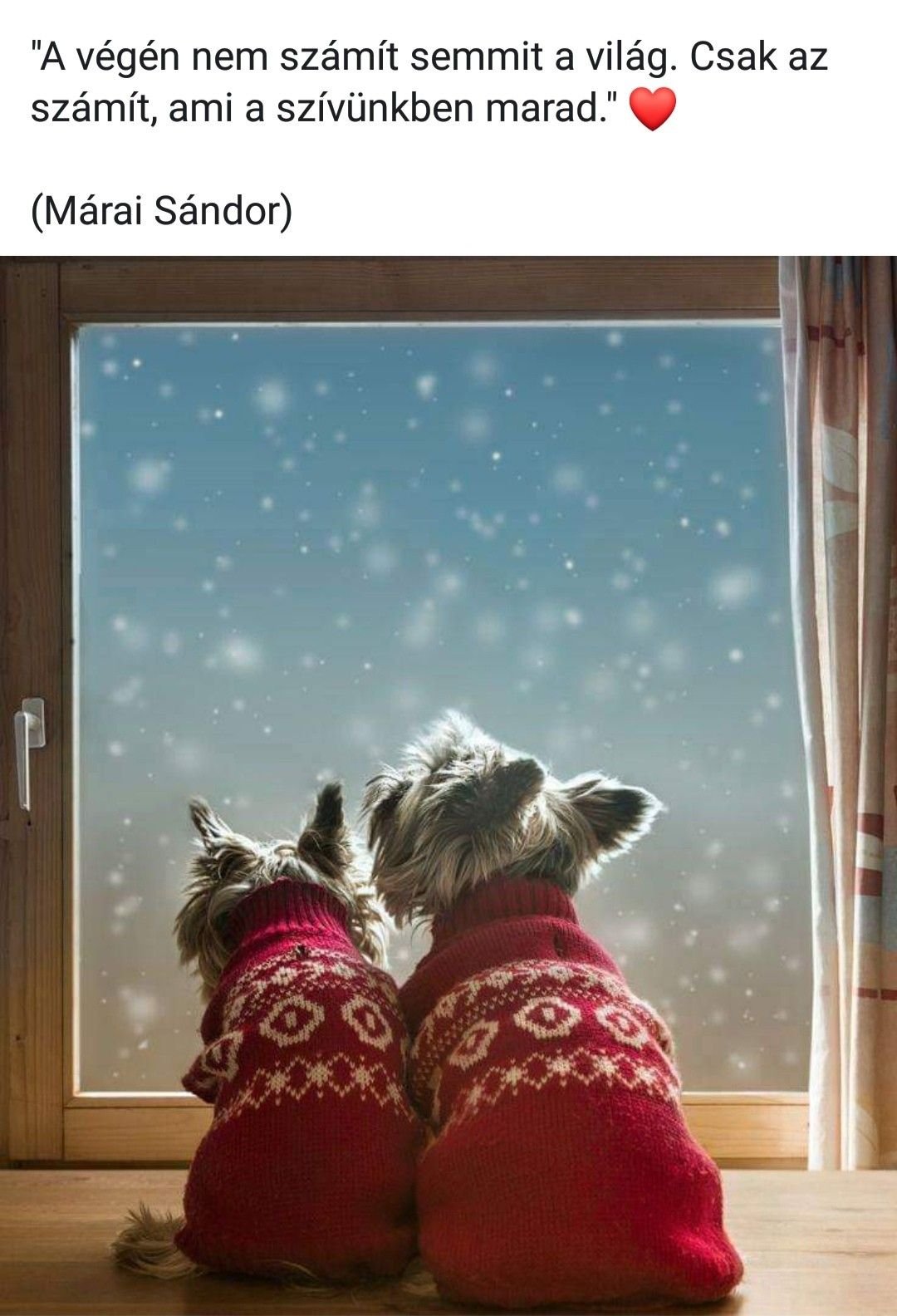 Доброй зимней ночи