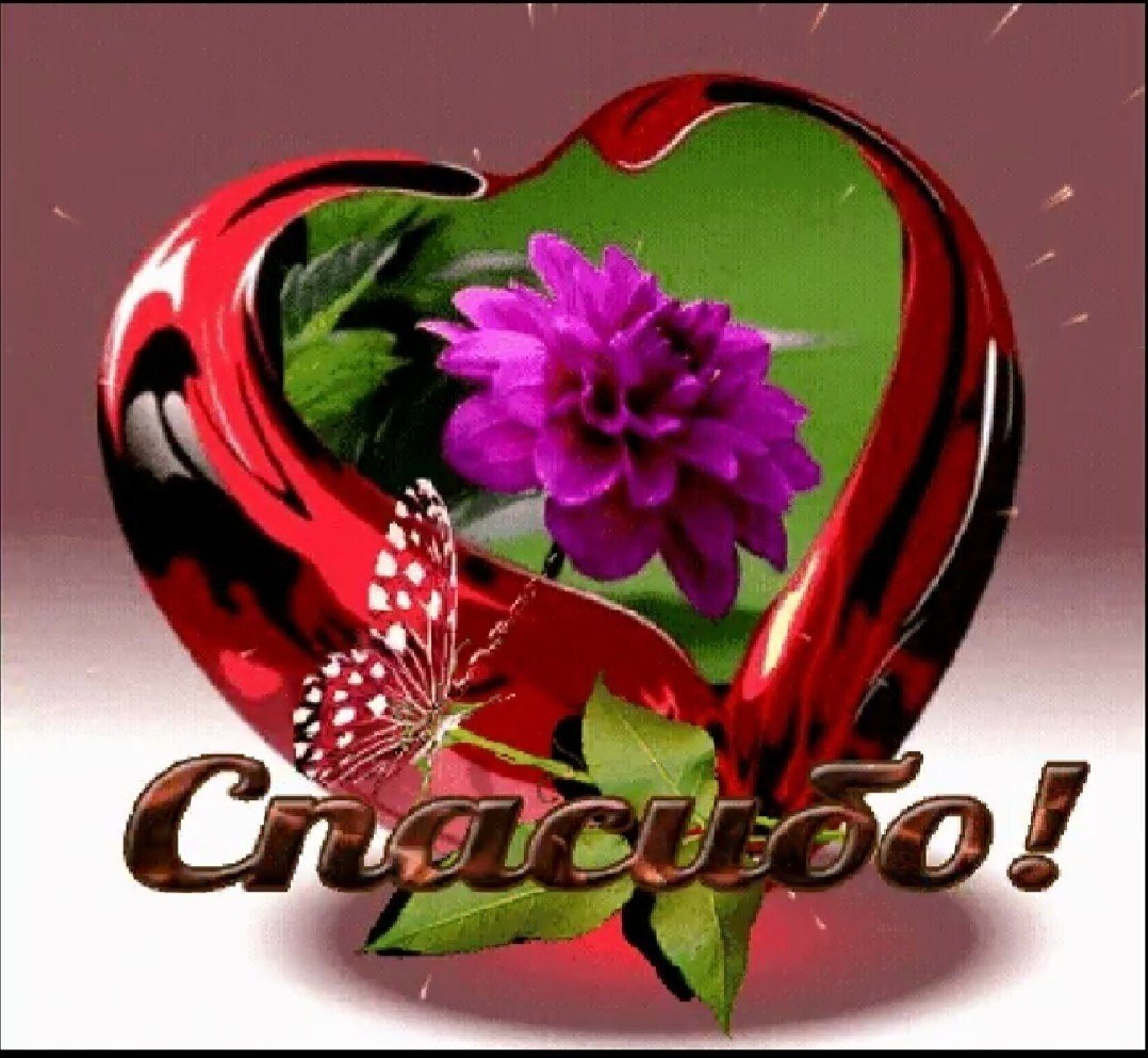 Спасибо мир