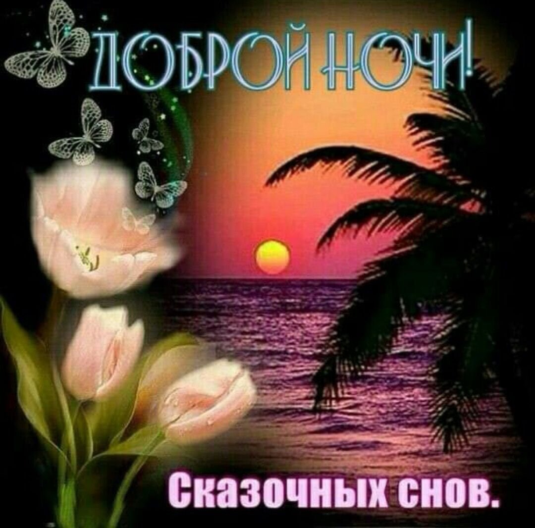 Спокойной ночи приятных снов