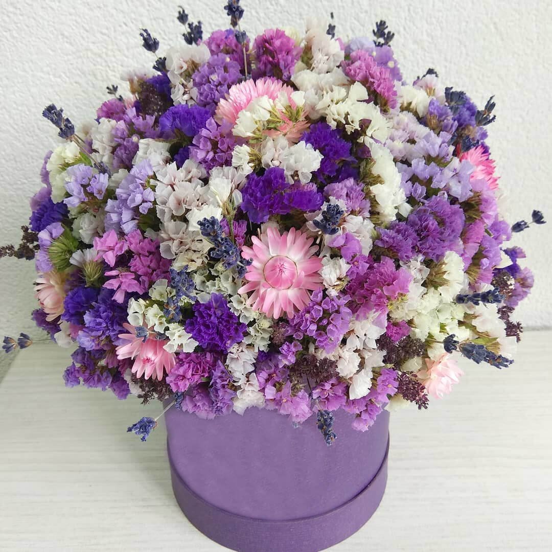 Гипсофила и статица